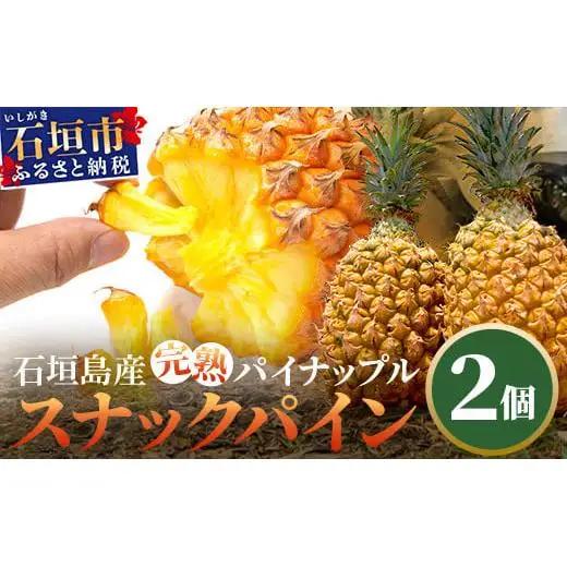 石垣島産完熟スナックパイン 2個セット 　TF-23_R8