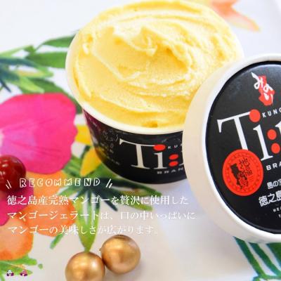 ふるさと納税 徳之島町 《年末お届け!》〜島の素材をそのままに〜プレミアムジェラート&ソルベ 16個 |  | 02