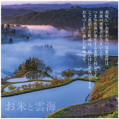 ふるさと納税 十日町市 新潟県 魚沼産 こしひかり 6kg×2袋 計12kg 精米 (お米の美味しい炊き方ガイド付) |  | 01