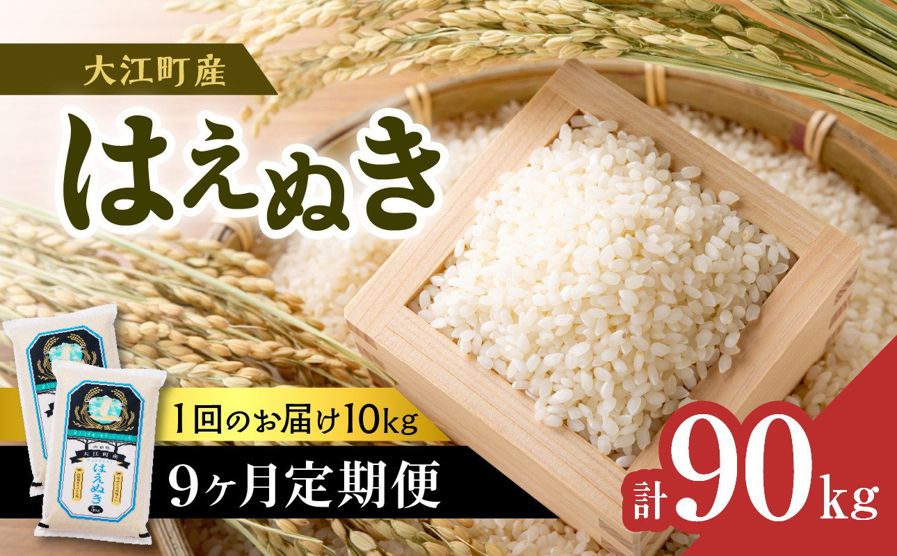 
            《9ヶ月定期便》大江町産 はえぬき 10kg(5kg×2袋)×9ヶ月(計90kg)【山形県産】 【001-T26】
          