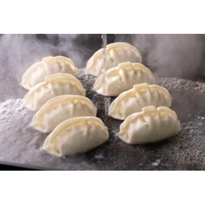 ふるさと納税 岸和田市 【瞬間冷凍:生餃子】王道を超える!肉汁溢れる黒豚餃子 100ケ 合計2kg