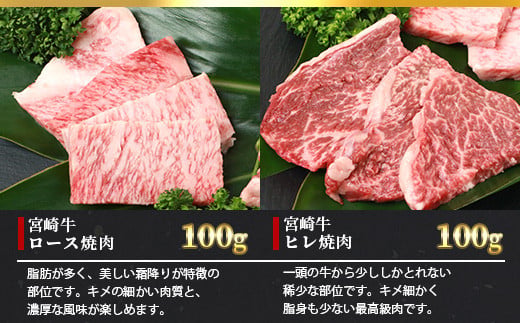 宮崎牛 6部位 食べ比べ 焼肉セット【最新の3D冷凍技術】【急速冷凍】送料無料 宮崎県 椎葉村 椎葉 日本三大秘境 秘境 国産 宮崎県産 ブランド牛 牛肉 牛 和牛 肉 うし お肉 焼肉 焼き肉 BB