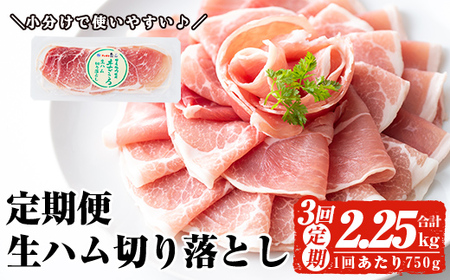 ＜定期便・全3回(連続)＞ 鹿児島 国産 豚 生ハム 切り落とし（計2.25kg/計750g・75g×10P×3回） 【ナンチク】 T29