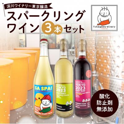 ふるさと納税 江東区 深川ワイナリー東京醸造・【赤・白・スパークリング3本セット】【kt009-002】