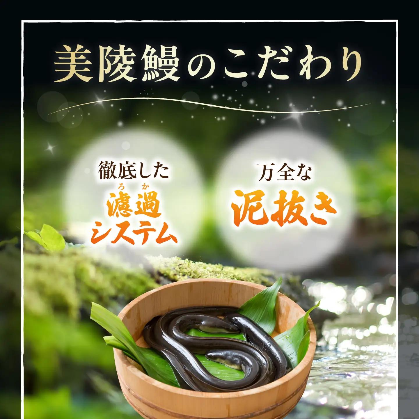 【全6回】鰻 鰻の白焼 3尾 BLAM012