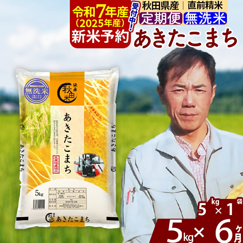 【ふるさと納税】※令和7年産 新米予約※《定期便6ヶ月》秋田県産 あきたこまち 5kg【無洗米】(5kg小分け袋) 2025年産 お届け周期調整可能 隔月に調整OK お米 みそらファーム