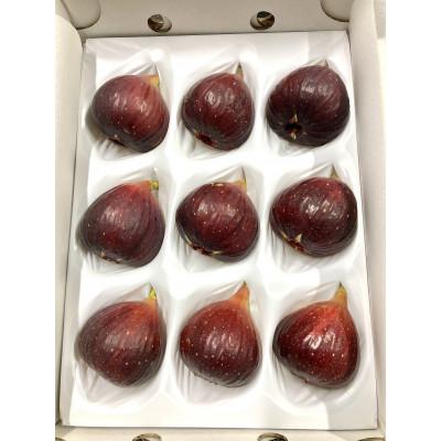 ふるさと納税 安城市 【1日1箱限定】皮がおいしい栽培期間中農薬不使用の完熟いちじく　約1kg　愛知県安城産