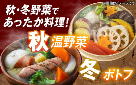 愛西市産 あいちのかおり4.5kgと旬の季節野菜詰め合わせ 精米 お米 野菜 愛西市／お米の三輪[AECM002]