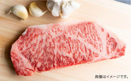 【全12回定期便】博多和牛 牛肉 サーロイン ステーキ 500g（250g×2枚）＜株式会社MEAT PLUS＞那珂川市 牛肉 サーロインステーキ サーロイン ステーキ 牛肉 牛肉定期便 和牛定期便 
