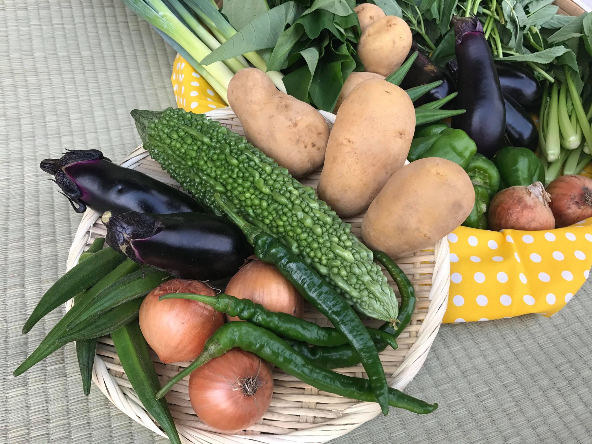 【ふるさと納税】【栽培期間 農薬不使用】季節の野菜ハーフセット 自然栽培 野菜 セット 詰め合わせ 茨城県 送料無料（KBE-113）