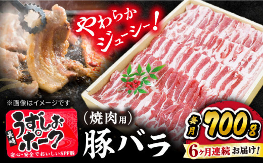 【6回 定期便 】 焼肉用 長崎うずしおポーク 豚バラ（ 焼肉 用）約700g＜スーパーウエスト＞[CAG021] 長崎 豚 豚肉 焼き肉 バラ BBQ ブランド豚 焼肉