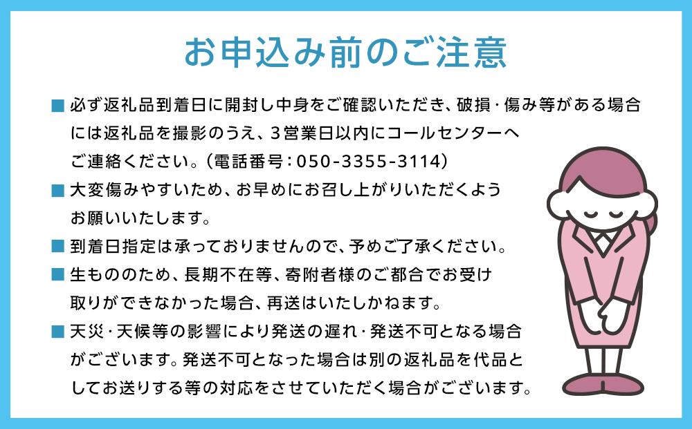 梨 2024年 先行予約 あたご梨 2玉（1玉約750g）合計約1.5kg なし ナシ 岡山県産 国産 フルーツ 果物 ギフト [No.5220-0593]