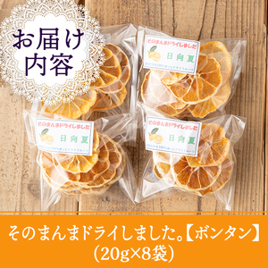 isa569 《数量限定》ドライフルーツ阿久根ボンタン「そのまんまドライしました。」(計8袋・各20g) 【薩摩美食倶楽部】