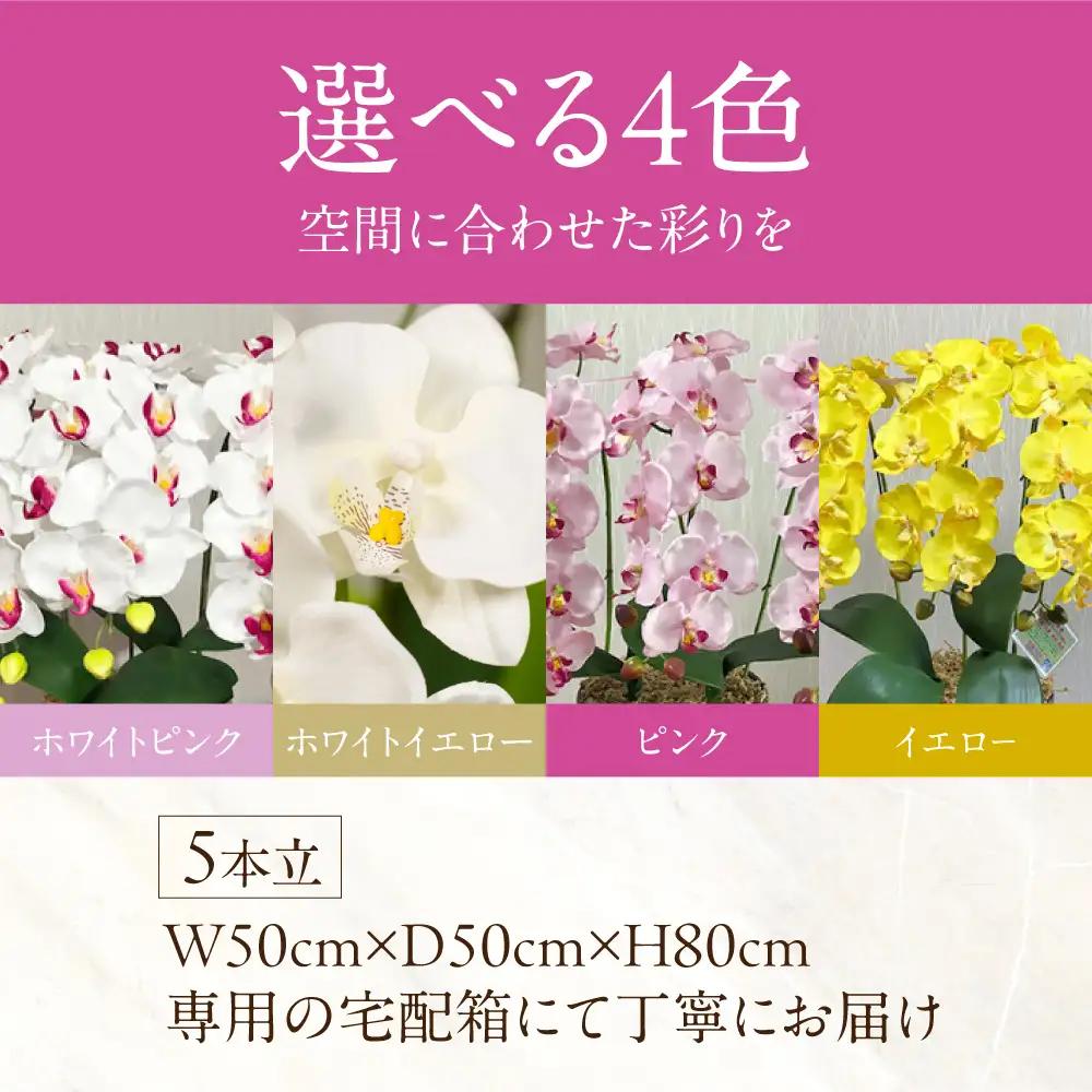 光触媒造花胡蝶蘭 5本立（ピンク)｜胡蝶蘭