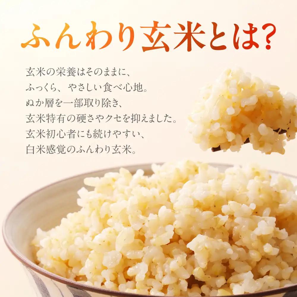 ≪令和7年度産≫ プロが厳選 ふんわり玄米玄米 ハツシモ 5kg｜玄米
