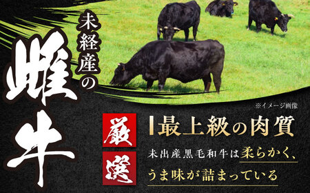 高知 黒毛和牛 ステーキ 約250g×2枚 / 高知 お肉 牛肉 牛 サーロイン 贈答 ギフト 贅沢 【焼肉寛十郎】[ATDO011]