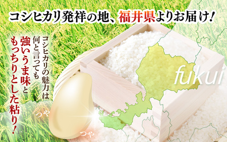 【新米】令和7年産 米 定期便3ヶ月コシヒカリ精米 5kg × 3回（計15kg）福井県産【白米 5キロ 15キロ こしひかり お米 ごはん 人気品種 産地直送 新生活 kome】 [e66-d002