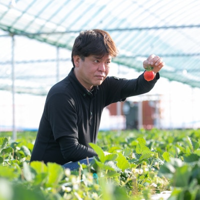 古蓮あまおうアイスクリーム (75ml)×6個(筑後市)【配送不可地域：離島】