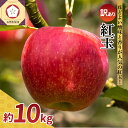 【ふるさと納税】★レビュー高評価★【 訳あり 】紅玉 10kg ( 配送時期が選べる ) / 不揃い 規格外 りんご 林檎 アップル 果物 くだもの フルーツ 常温保存 秋 旬 人気 青森県 五所川原市