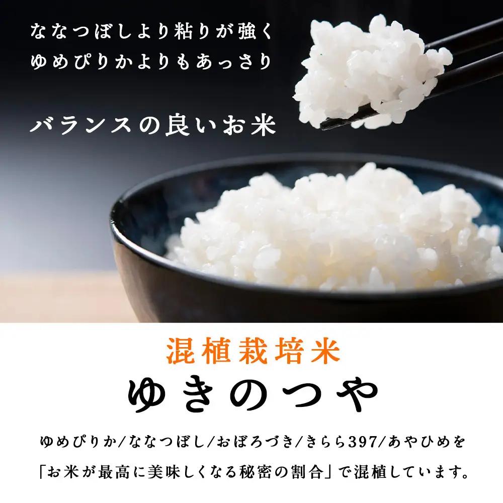 【レビューキャンペーン実施】【7営業日以内発送】北斗米ゆきのつや30kg（5kg×6袋）