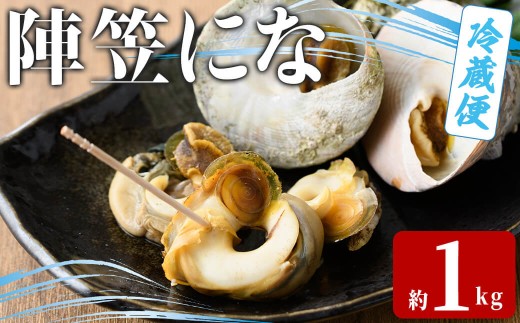 陣笠にな (約1kg) 魚介 貝 にな ニナ 海鮮 バーベキュー 【opba012】【海べ】
