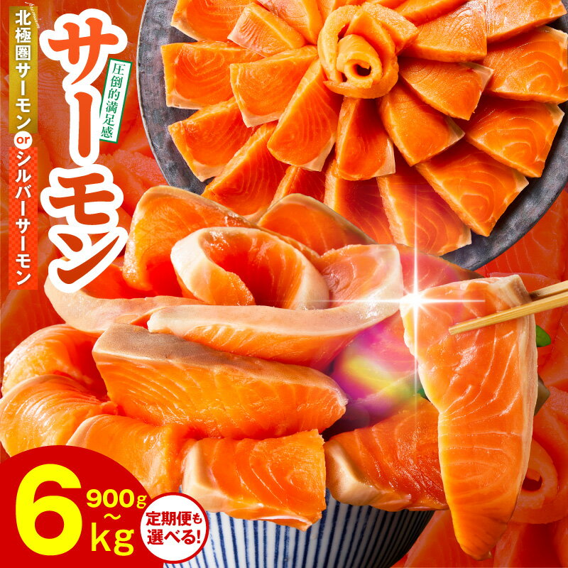 【ふるさと納税】サーモン ポーション 1kg / 1.5kg 切り落とし 900g 定期便 訳あり 発送時期が選べる サイズ不揃い 鮭 小分け ブロック 柵 刺身 海鮮丼 生食 鮮度抜群 冷凍 楽天限定 大阪府 泉佐野市 満足度9割以上 リピーター続出