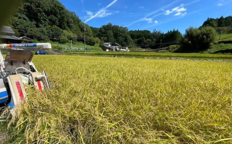 米 コシヒカリ 箸ひかり 伊賀 令和8年産 5kg 極上 精米 三重県 名張市 特A 白米 産直 農家 ご飯 ごはん 新米 a ha shi hi ka ri rice koshihikari iga