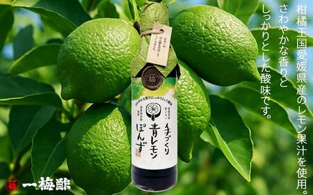 四国の絶品 柑橘王国愛媛 老舗の手づくり 柑橘ぽん酢 食べ比べ 2種 200ml×2本 Fセット（青レモン・すだち） 【昭和23年創業 一梅酢】 国産 人気