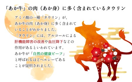 肥後の赤牛ハンバーグ 150ｇ×10 G-38 | 熊本県 熊本 くまもと 和水町 なごみ 牛肉 肉 あか牛 赤牛 肥後 ハンバーグ 150g 10個