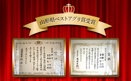 山形県 中山町産 とうもろこし（スイートコーン） 約4kg（9～12本） 【青柳農園】 トウモロコシ 野菜 やさい F4A-0408