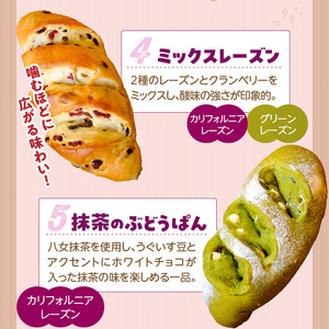 ぶどうぱん食べ比べセット（5本） _ ぶどうぱん 専門店 ぶどぱん 食べ比べ 5本 ぶどぱんのぶどうぱん サンマスカット 全粒粉のくるみとレーズン ミックスレーズン 抹茶 レーズン しっとり もっちり