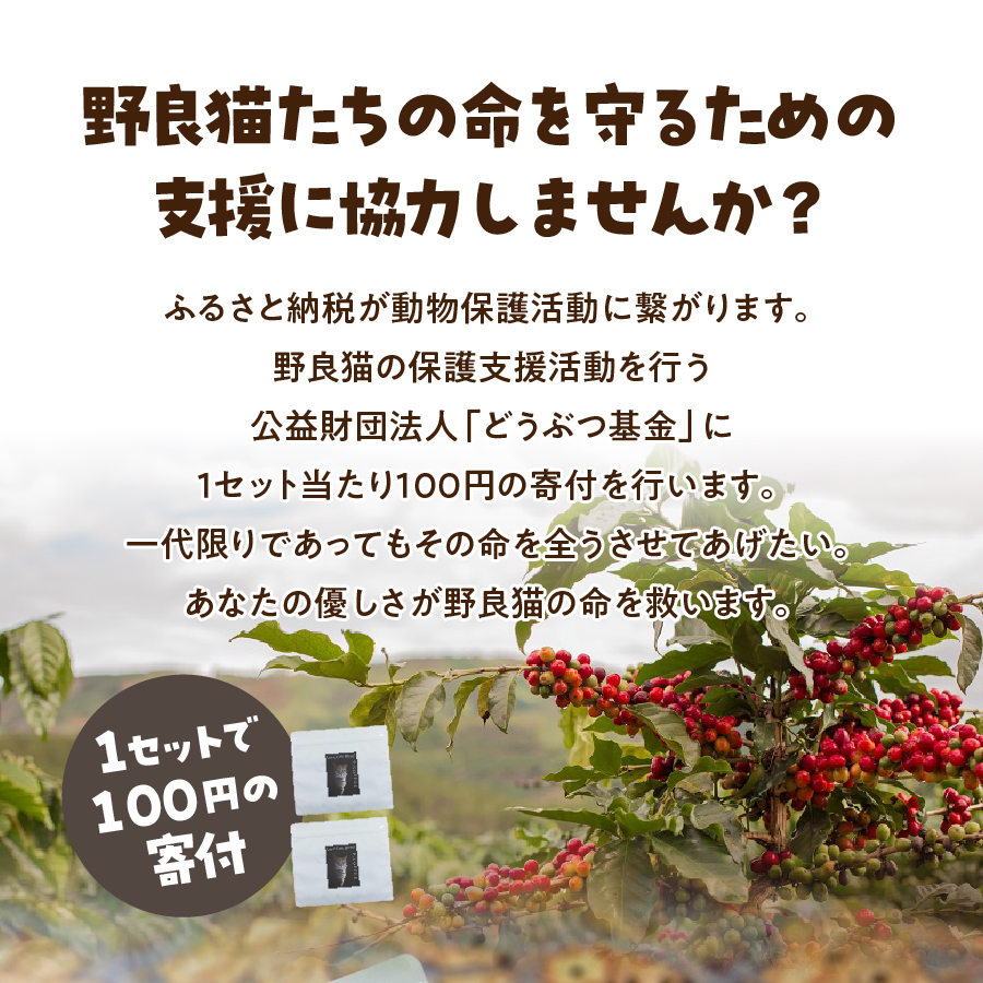 メール便発送【訳あり】野良猫保護支援 さくらねこ ブレンドコーヒー 富士山の湧き水で磨いた スペシャルティコーヒー 豆 400g