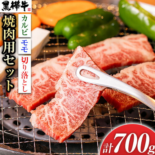 【ふるさと納税】熊本県産黒毛和牛　黒樺牛焼肉用カルビ・モモ・切り落としセット　しょうゆタレ付 肉好き必見 黒毛和牛 黒樺牛 肉 牛肉 焼肉 カルビ モモ 切り落とし 国産 専門店 熊本県 贈答 ギフト お中元 お歳暮 熊本 阿蘇 産山村《60日以内に出荷(土日祝除く)》