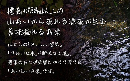 【先行予約】里山のこしひかり ほくの里 パックご飯 300g×12パック 計3.6kg【2026年1月以降順次発送】|災害支援 こしひかり