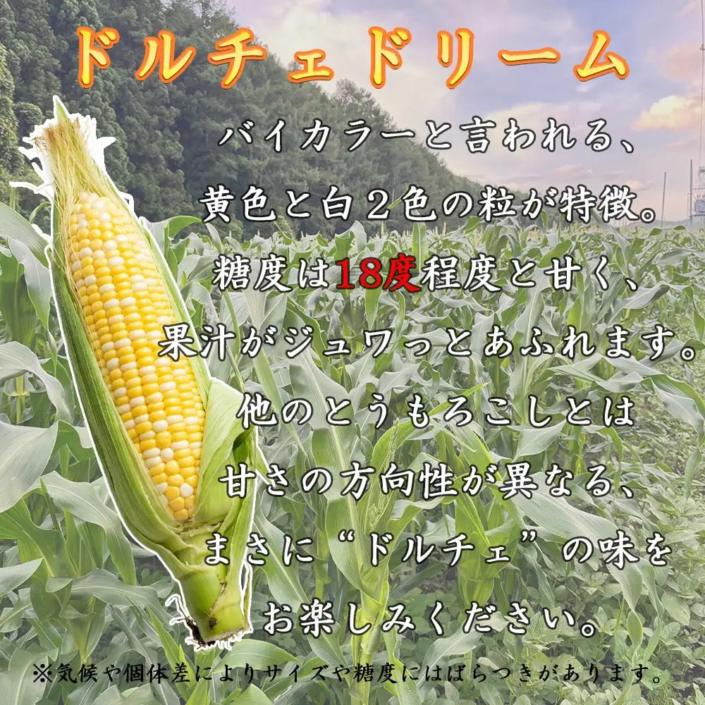 【先行予約】【期間限定】長野県長和町産　黒耀水育ちのあまいとうもろこし 人気品種「ドルチェドリーム」10本入り とうもろこし セット 冷蔵便 新鮮スイートコーン4kg 朝採れトウモロコシ
