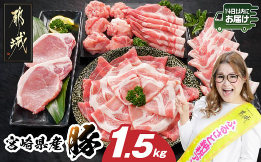 宮崎県産豚わくわく1.5kgセット(真空)≪みやこんじょ快速便≫_11-84-002-1500g-R