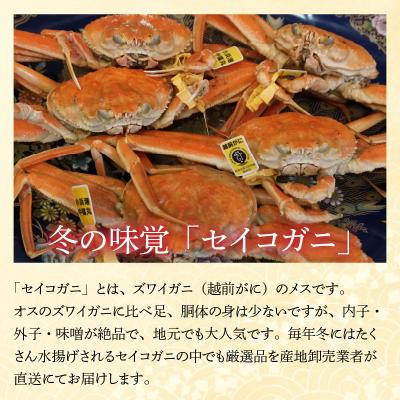 ふるさと納税 小浜市 【加福鮮魚】「若狭小浜港産地直送」　セイコガニ(コッペガニ)ボイル5杯 |  | 01