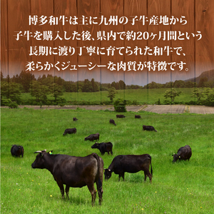 和牛しゃぶすき焼き用 800g 牛肉訳あり 牛肉訳あり 牛肉訳あり 牛肉訳あり MEP005