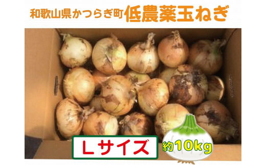 農家さん直送！低農薬玉ねぎＬサイズ約１０ｋｇ【４月中旬～７月中旬発送予定】