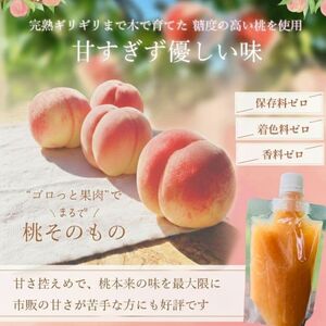 農家のこだわり桃ジャム 添加物不使用・おうち用パウチ お試し桃ジャム　1個  【aozf008】