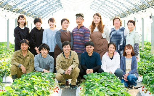 【12ヶ月定期便】熊本フルーツ定期便12カ月