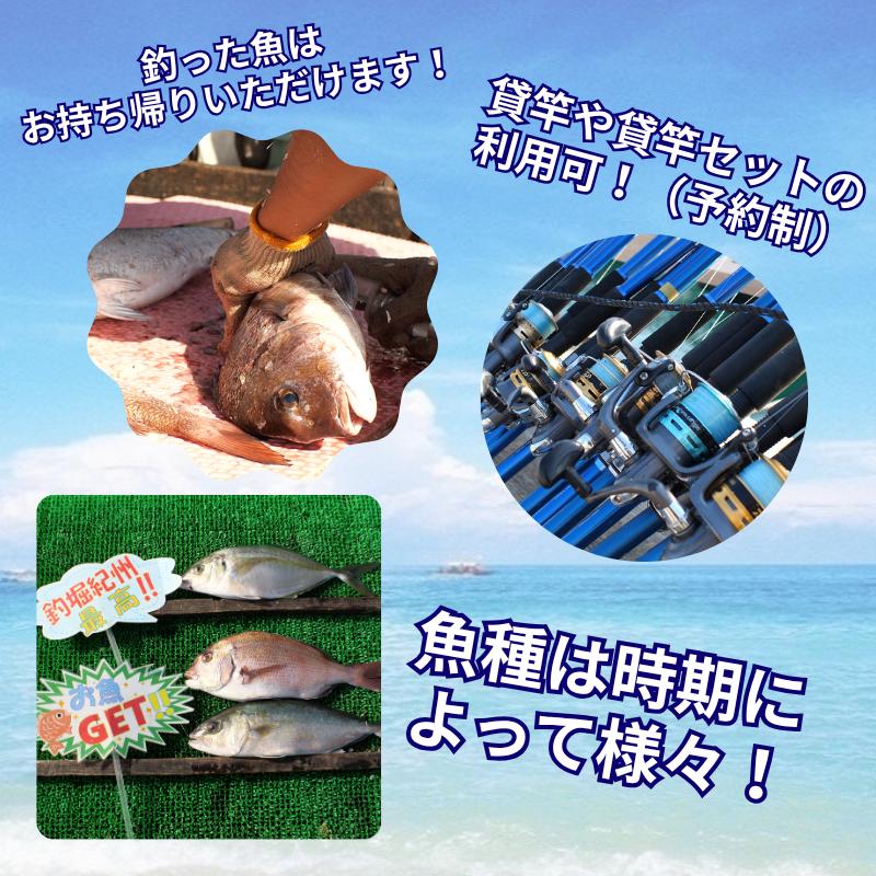  釣堀紀州 10000円分 利用券 / 体験チケット 釣堀り 釣り堀 釣り堀り 和歌山 近畿 【kit911-cp10】