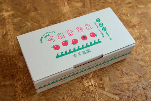 【定期便全3回 1月・3月・6月にお届け】 フルーツミニトマト 『 くれまるこ 』 1.2kg フルーツトマト ふるーつとまと とまと トマト 甘い 濃厚 美味しい 箱詰め 高知 久礼 宇井農園 3回