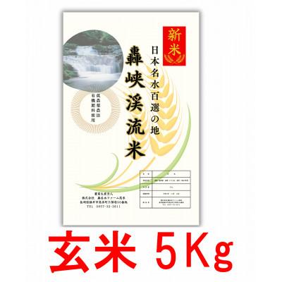 ふるさと納税 諫早市 令和7年産　にこまる　玄米　5kg　長崎県諫早市産