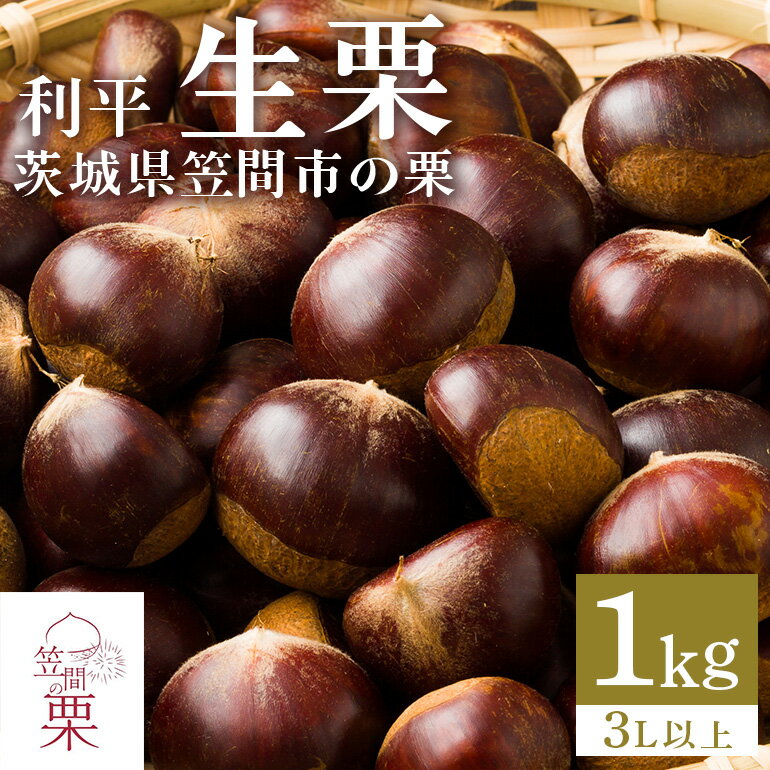 【ふるさと納税】【2026年 秋 先行予約】 笠間の栗・箱田農園の生栗「利平」1kg（3L以上） 栗 クリ くり 生栗 茨城県 笠間市 送料無料