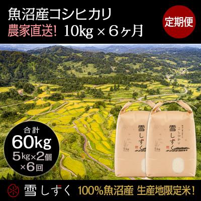 ふるさと納税 十日町市 【毎月定期便】中里地域限定!魚沼産コシヒカリ10kg(5kg×2袋)×6回 合計60kg全6回