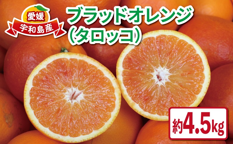 
                  ブラッドオレンジ タロッコ 約 4.5kg 愛媛みかん つばさ農園 先行予約 オレンジ 果物 くだもの フルーツ ブラッド オレンジ 早生 柑橘 みかん 赤 愛媛蜜柑 愛媛ミカン みかん ミカン 蜜柑 mikan 予約 農家直送 産地直送 数量限定 国産 愛媛 宇和島 B010-048003
                