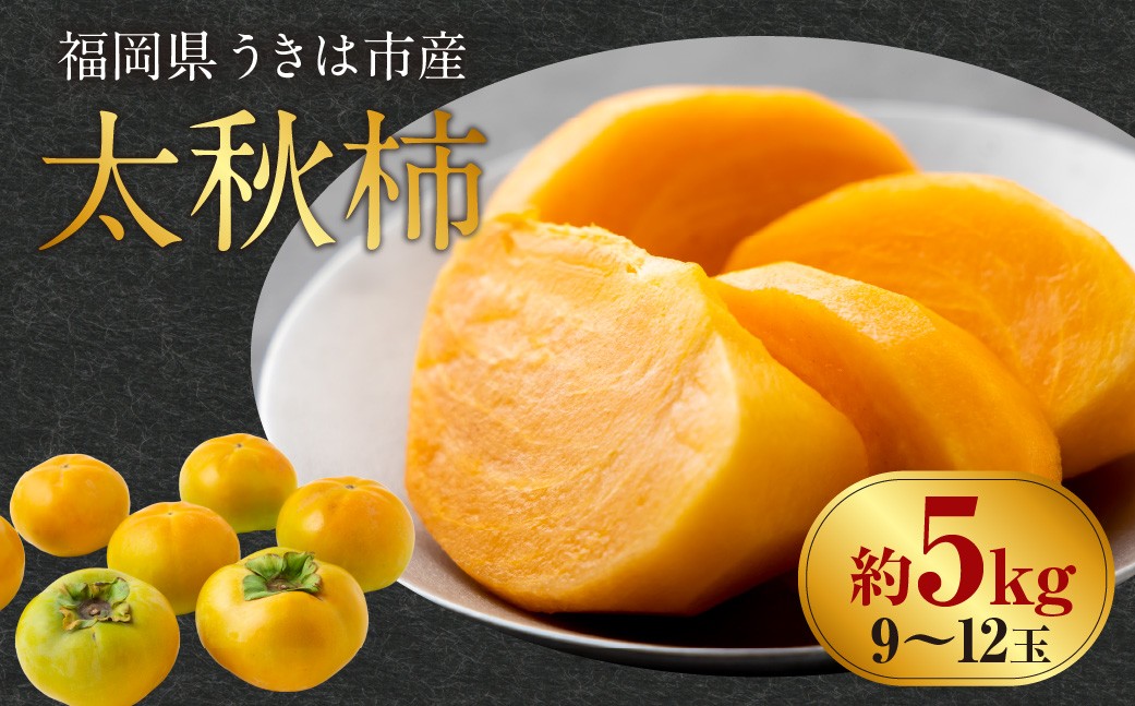 
            【先行予約】 西見柿農園 太秋柿 9玉から12玉 （約5kg） 【2025年10月中旬から11月上旬 出荷予定】 完熟柿 柿 かき カキ 太秋 たいしゅう 大玉 完全甘柿 果物 くだもの フルーツ 果実 ジューシー 樹上完熟 お取り寄せ 福岡県 うきは市
          