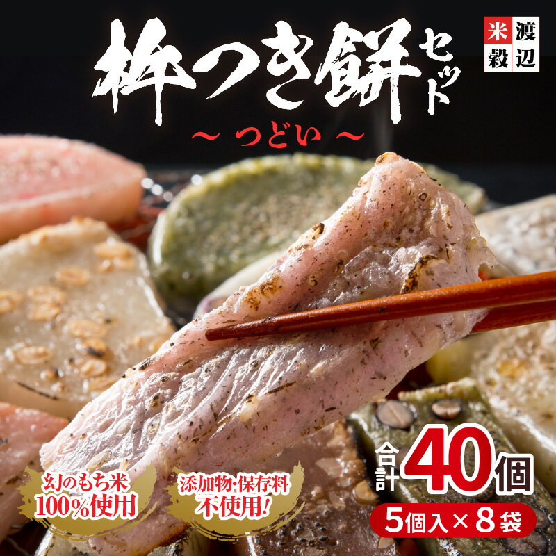 【ふるさと納税】 たんちょう杵つき餅セット 『つどい』 計40個 特別栽培もち米使用！ 〜幻のもち米100％使用〜 【つきたて モチモチ 添加物・保存料不使用 焼いてそのままでも おやつに 餅 もち おもち お餅 丸もち】