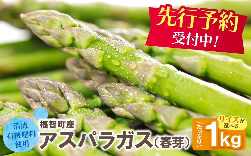 
                  《2027年発送》 清流・有機肥料使用 アスパラガス(春芽) 1kg 選べるサイズ（Mサイズ・Lサイズ・LLサイズ・訳あり） 朝採り 旬 旬野菜 新鮮 アスパラ アスパラガス 野菜 とれたて お取り寄せ 福岡県 福智町 国産 九州産 送料無料 あすぱらがす 人気 アスパラガス おすすめ アスパラガス 訳あり  Z18
                